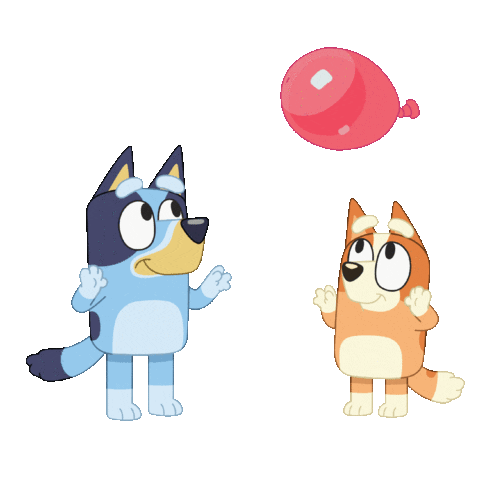 Bluey y Bingo